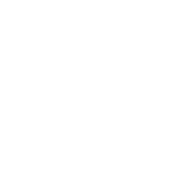 vector